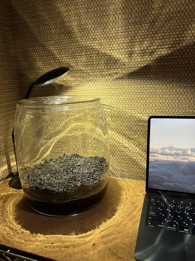 書斎のデスクでMacBookの横に置かれたラップ蓋の米びつ水槽