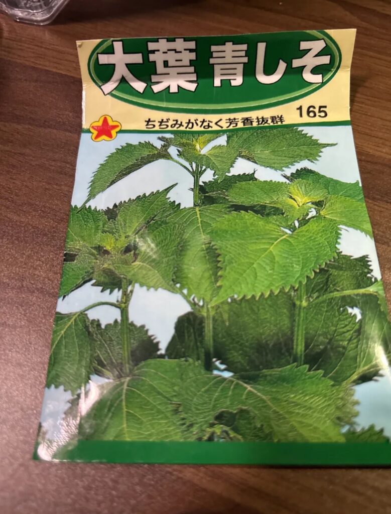 大葉青しその種袋・ちぢみがなく芳香抜群と書かれている