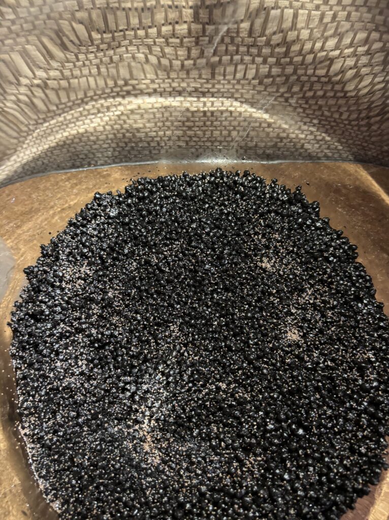 米びつにULTRA SOILを敷いたセットアップ初期の状態