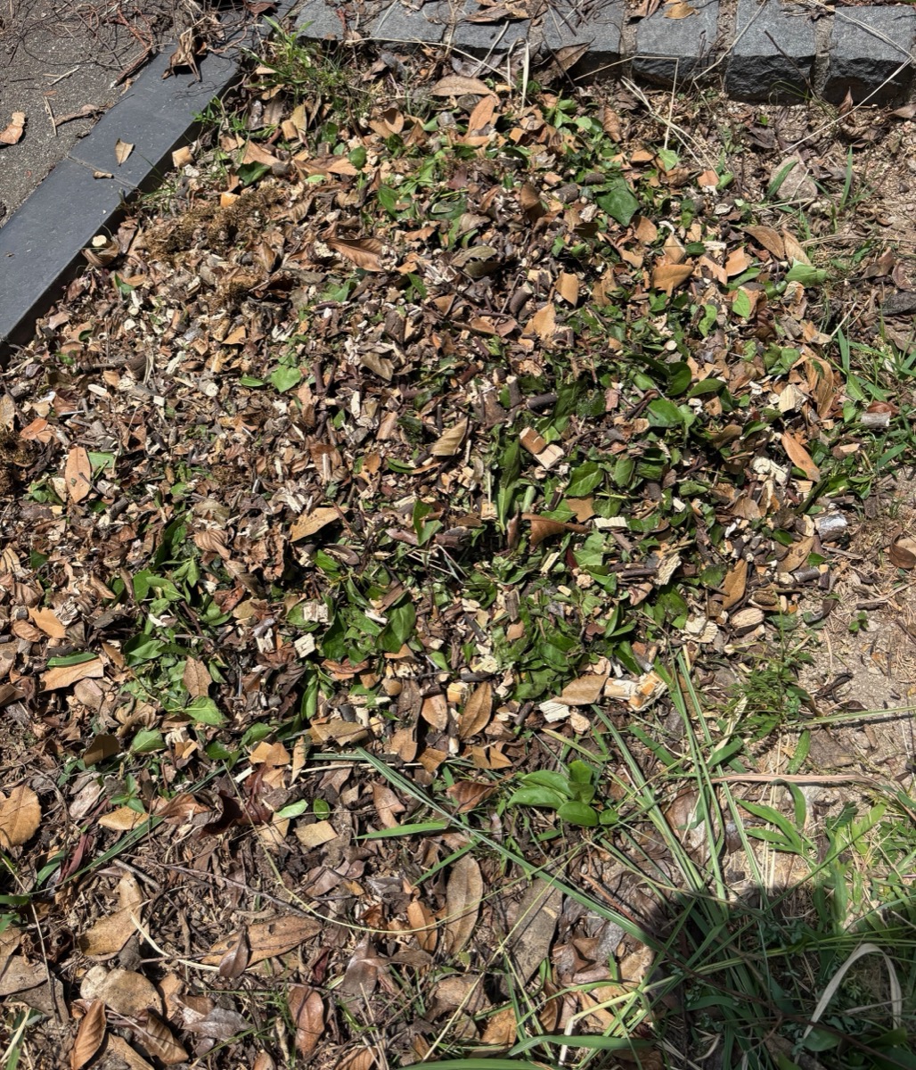 粉砕したてのウッドチップが一面に敷かれた花壇